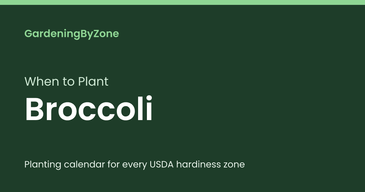 When to Plant Broccoli — Planting Calendar by USDA Zone