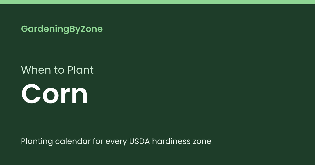 When to Plant Corn — Planting Calendar by USDA Zone