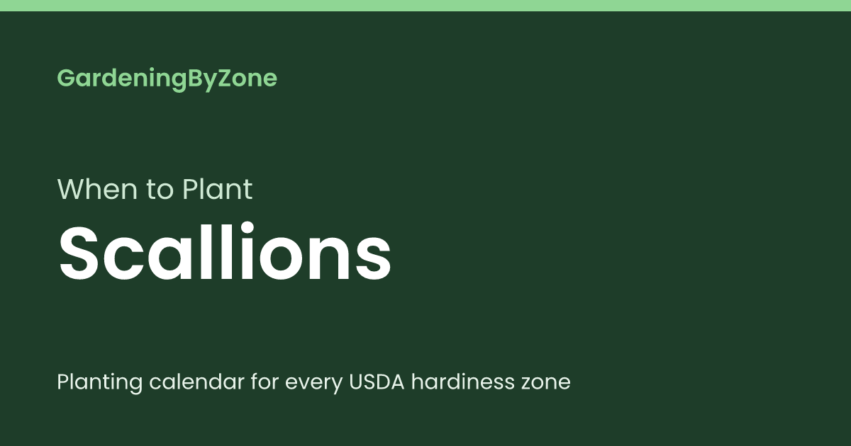 Scalltions When to Plant Scallions — Planting Calendar by USDA Zone