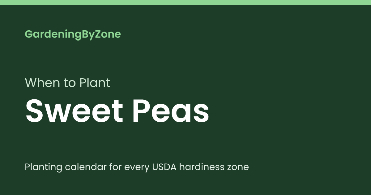 When to Plant Sweet Peas — Planting Calendar by USDA Zone